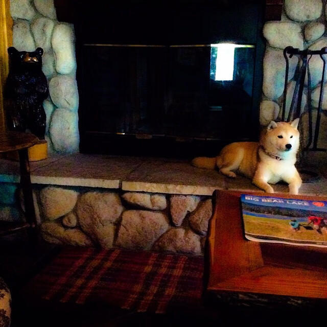 开云APP-铁壁与闪电，当戈贝尔擎起防守天幕，奇才用一节快打旋风撕裂绿衫军